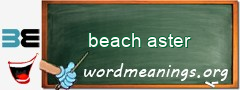 WordMeaning blackboard for beach aster